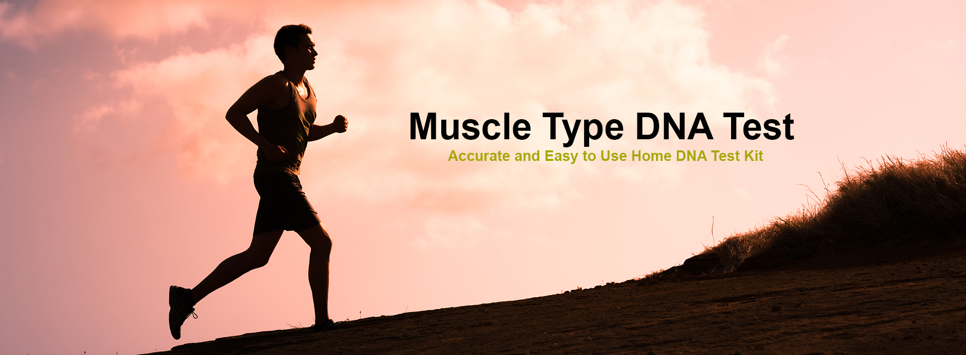 Muscle Type DNA Test