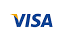 Pay with Visa